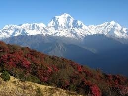Annapurna Circuit Trek In 14 Days