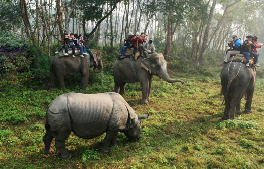 Chitwan National Park Visit in 4 Days