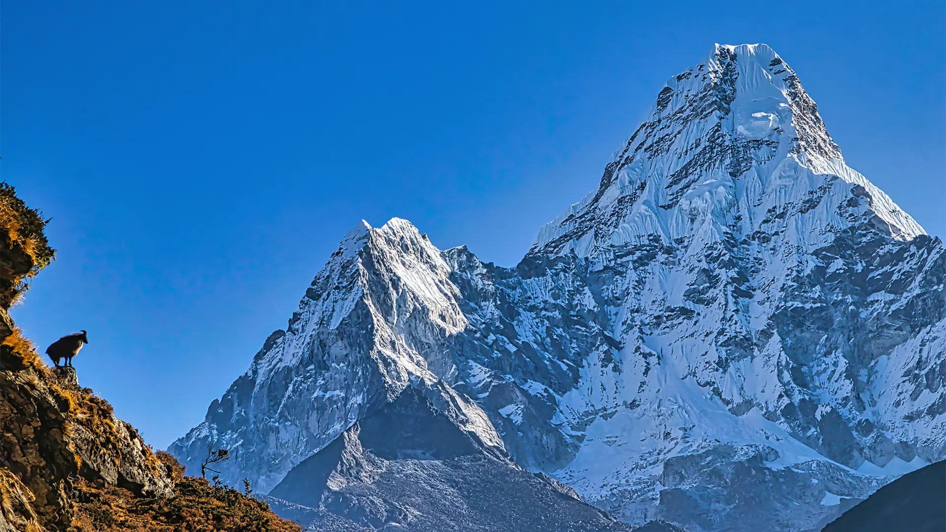 Amadablam Expedition In 30 Days