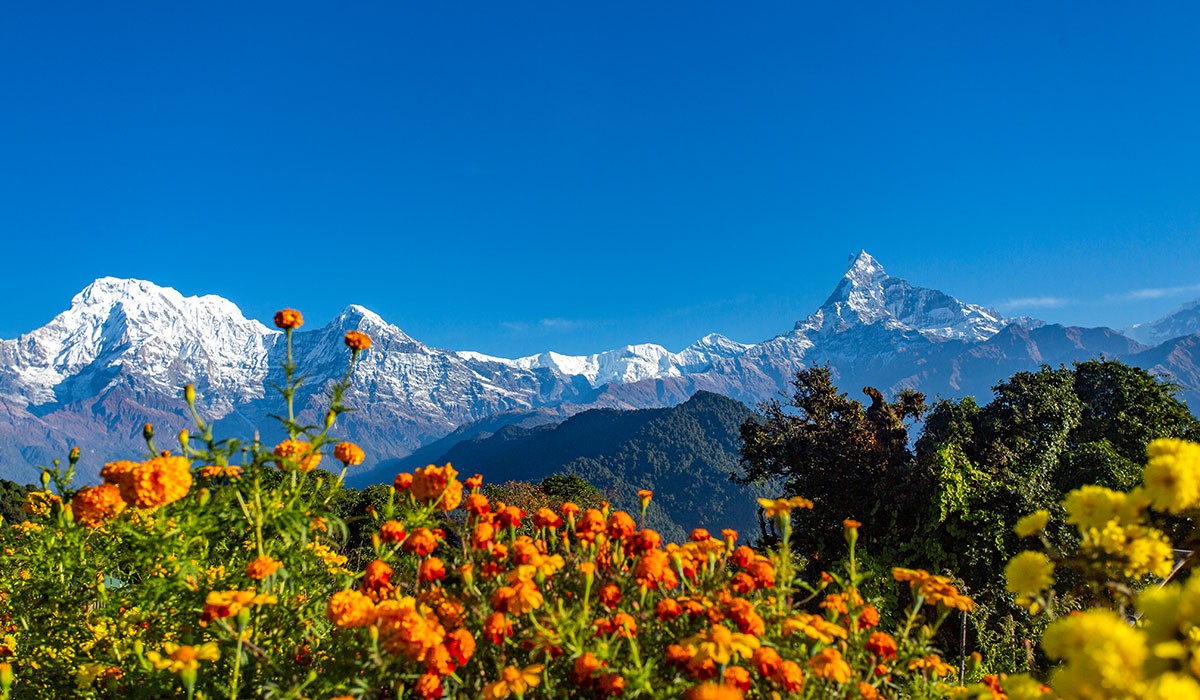 Best-Time-for-Mardi-Himal-Trekking-1743239084.jpg