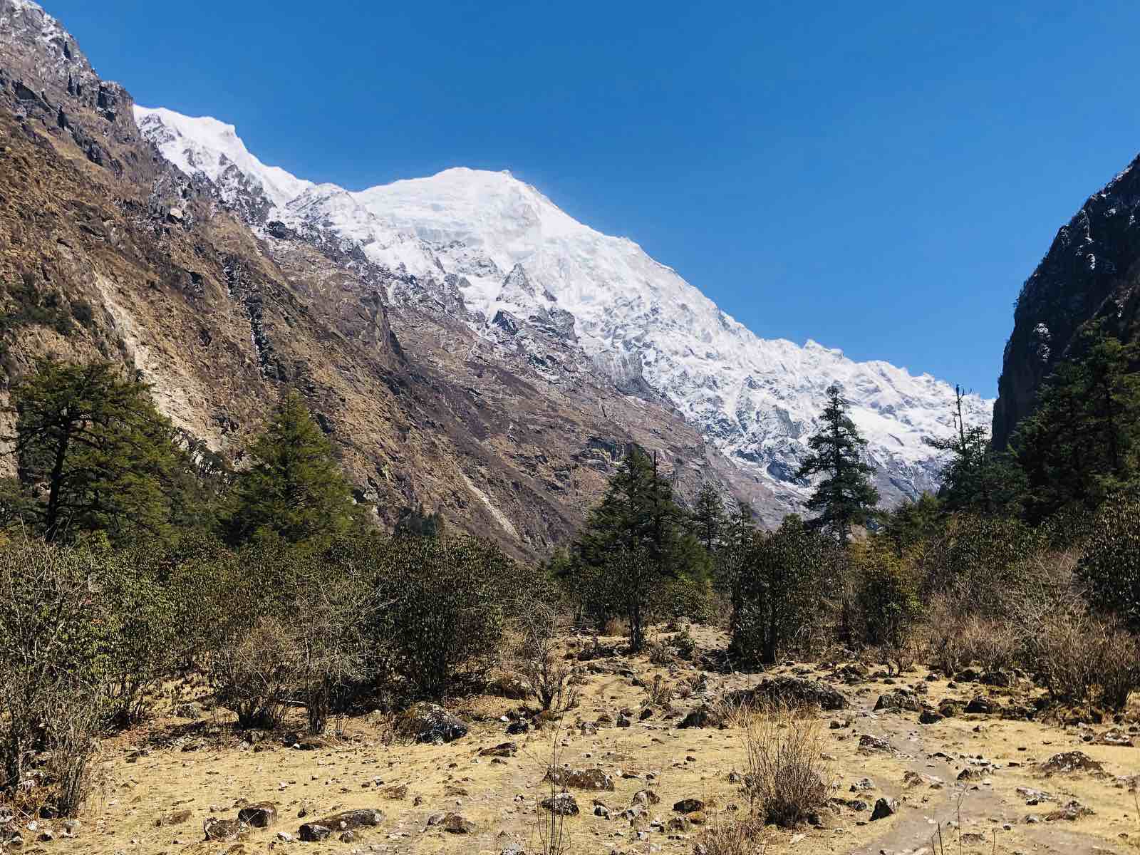 Trekking-in-Langtang-on-the-way-1743247730.jpg