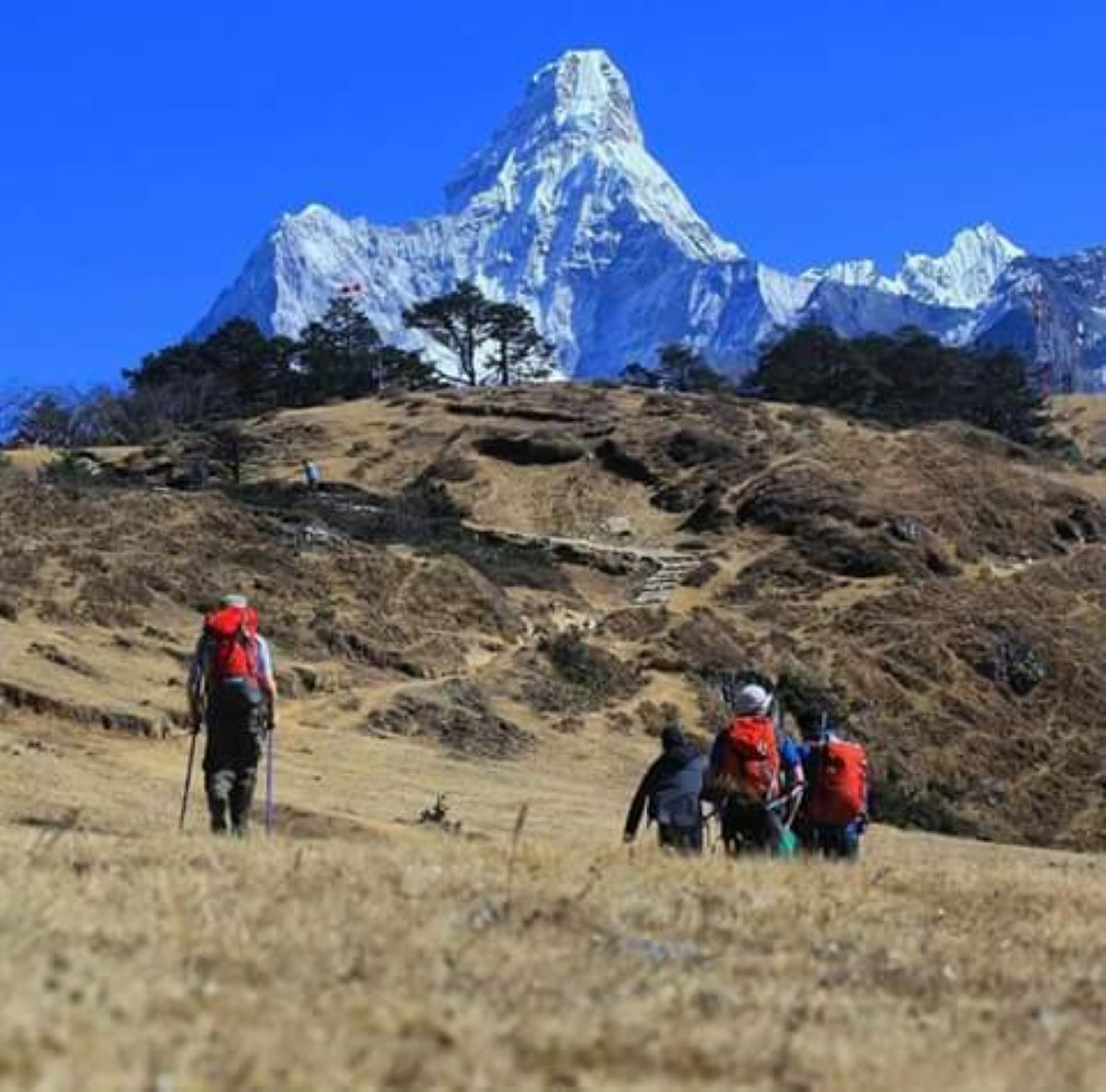 Nagarjun peak and Khongma la Everest base camp trek